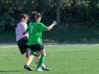DSC 8506 : Soccer 01-06-18