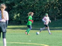DSC 8624 : Soccer 01-06-18