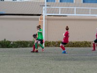 DSC 1397