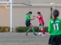DSC 1778