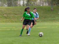DSC 3020