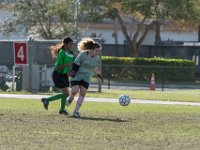 DSC 4555