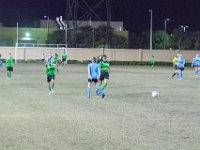DSC 6041