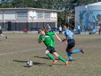 DSC 7192
