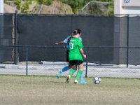DSC 7136